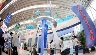 关于黑龙江省‘十二五’软件与服务外包产业发展的规划思考与展望